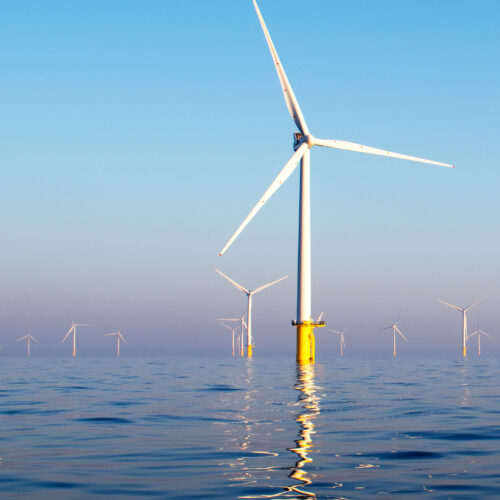 Pre-FEED study of Utilitas offshore wind farm to be completed in January